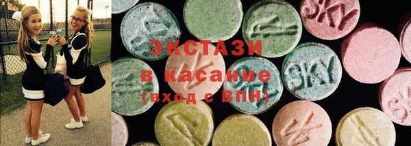 индика Алексин