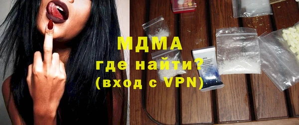 индика Алексин