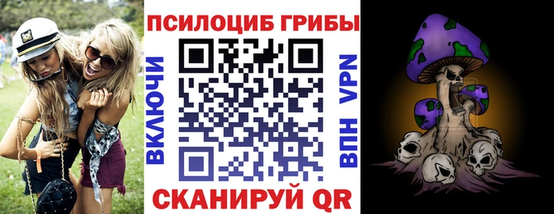 Галлюциногенные грибы Psilocybe  OMG зеркало  Тверь 